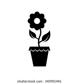 Flower in a pot icon