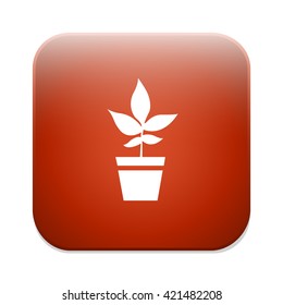 flower pot icon