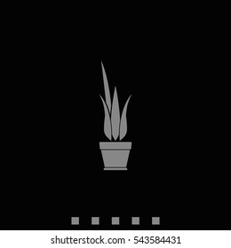 Flower pot icon.