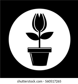 Flower Pot Icon