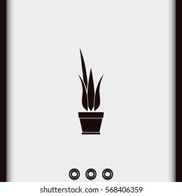 Flower pot icon.