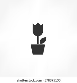 Flower Pot icon