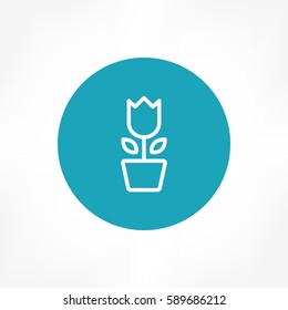 Flower Pot icon