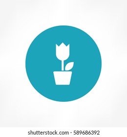Flower Pot icon