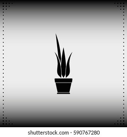 Flower pot icon.