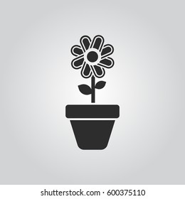 flower in pot icon