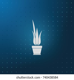 Flower pot icon.