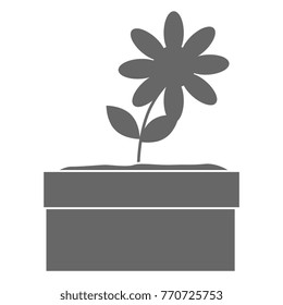 flower in pot icon