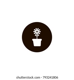 Flower in pot icon. flat design