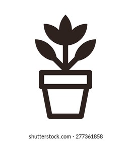 Flower in pot icon  isolated on white background