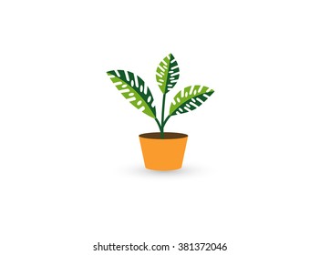 Flower in pot icon isolated on white background