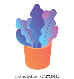 Flower pot icon. Isometric of flower pot vector icon for web design isolated on white background