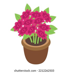 Flower pot icon isometric vector. Gift bunch. Spring floral