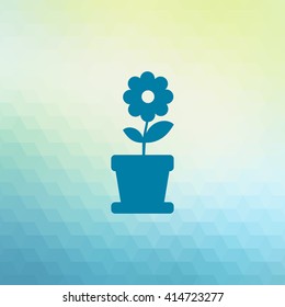 Flower in pot icon vector