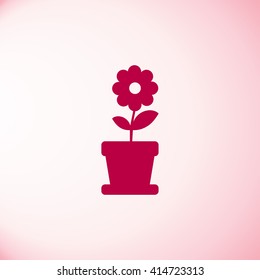 Flower in pot icon vector