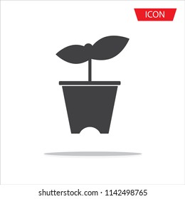 Flower in pot icon vector isolated on white background.