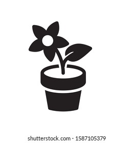flower pot icon vector symbol template
