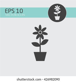 Flower in pot Icon. Flower in pot Vector.Flower in pot Picture. Flower in pot Image. 