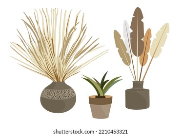 Flower pot illustration. Boho interior vector set. Home design and decor inspiration.