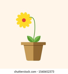Flor en olla, ilustración, vector sobre fondo blanco.