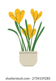 Blume in einem Topf, Zimmerpflanzen
