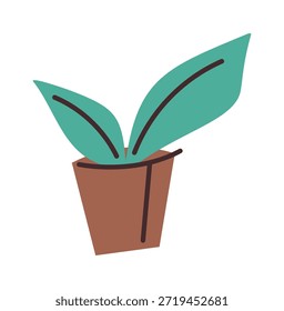 Maceta para el diseño interior