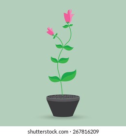 flower pot isolated background