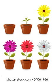 Flower pot, isolated on white background