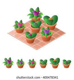 Flower in pot. Isometric icon set. Vector illustration.