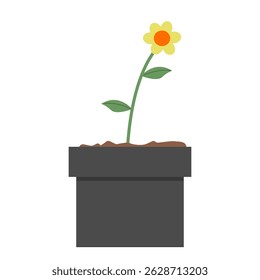 Flower pot with little sunflowers