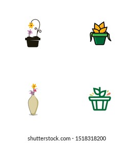 Flower in Pot Logo and Icon Design Vector