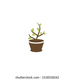 Flower in Pot Logo and Icon Design Vector