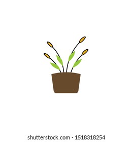 Flower in Pot Logo and Icon Design Vector
