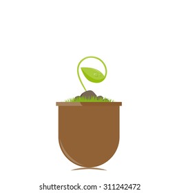 Flower pot with new sprout vector illustration