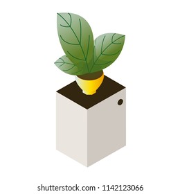 Flower in a pot on a pedestal isometric icon isolated on a white background