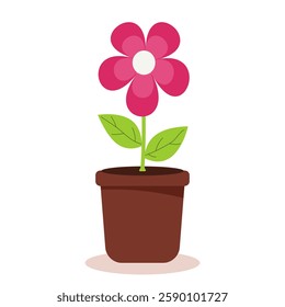 Flower in a pot on a white background. Vector.