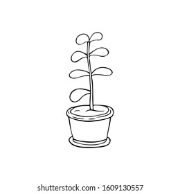 Flower in a pot on a white isolated background. Doodle succulent, simple outline illustration.
