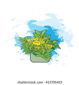 flower pot over blue paint strokes vector illustration