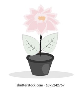 Flower in a pot. Pink petals. Vector image