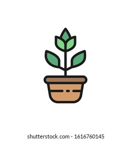 Flower in a pot, plant in ceramic dishes flat color line icon.