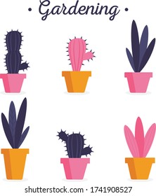 Flower Pot and Plant for Gardening