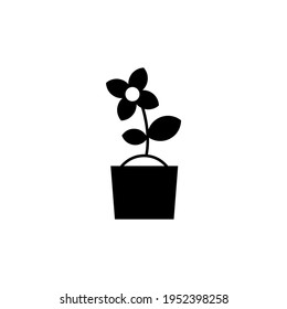 Flower pot plant icon in solid black flat shape glyph icon, isolated on white background 
