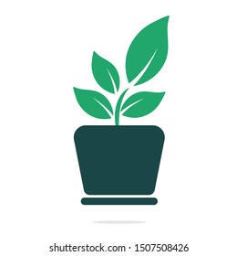 Flower pot and plant logo. Growth vector logo.	
