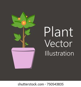 Flower pot with plant. It is used for design as an element for the interior. Vector illustration