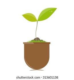 Flower pot with plant vector illustration
