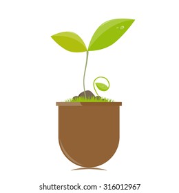 Flower pot with plants vector illustration