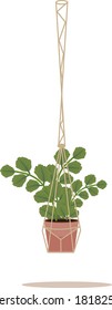 Flower in a pot pots macrame, modern Scandinavian style. Hanging plant, interior decor. Vector illustration