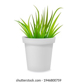 Flower pot realistic with grass white ceramic or plastic. Vector template
