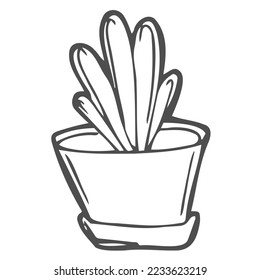 Flower in a pot. Saplings. home greenhouse. Bio plants. botany. Coloring book for children and adults. For design, textiles, sweatshirts. Stock hand graphics.