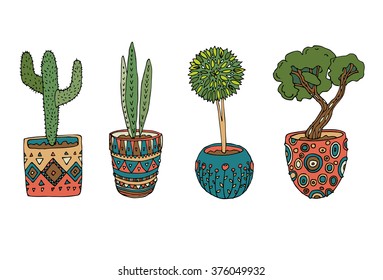 flower in a pot set